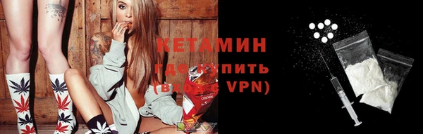 хмурый Аркадак