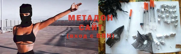 хмурый Аркадак