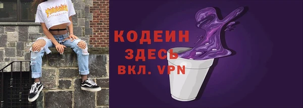 хмурый Аркадак