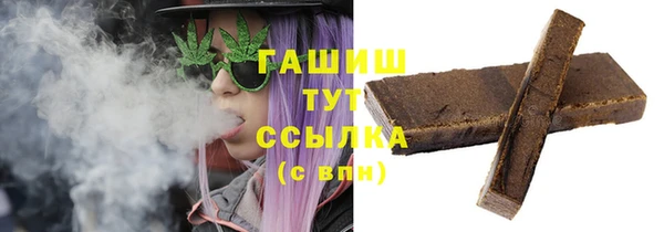 хмурый Аркадак