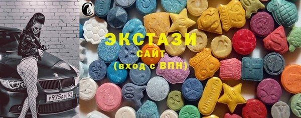 хмурый Аркадак