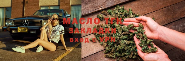 хмурый Аркадак