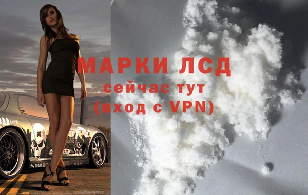 хмурый Аркадак