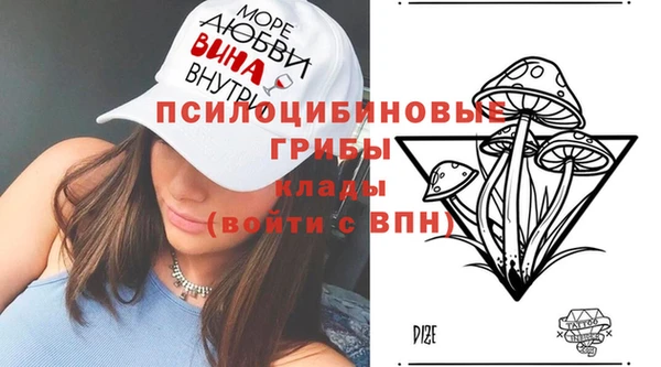 мдпв Алзамай