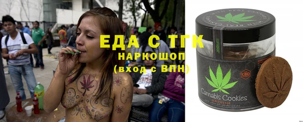 хмурый Аркадак